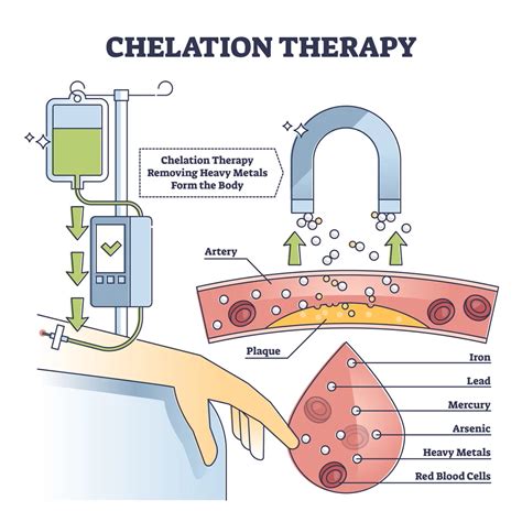 what is a chelator.